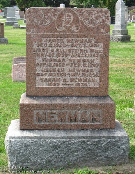 File:Newman Gravestone.jpg